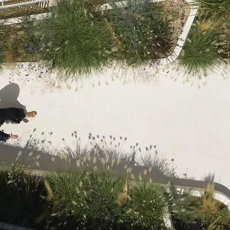 White Pebble ポロニア