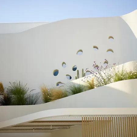 White Pebble ポロニア