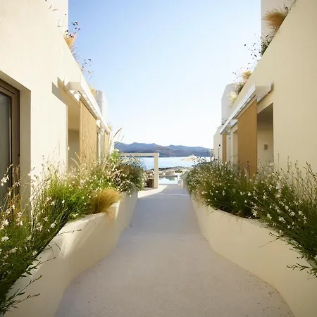 Hotel White Pebble Pollonia