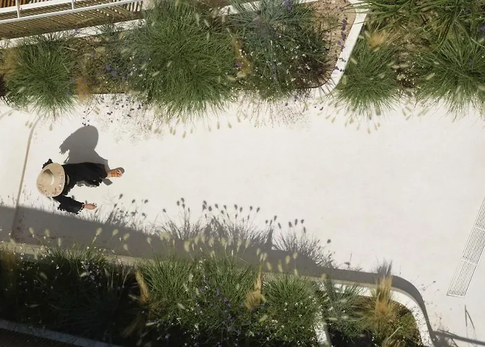 White Pebble 阿波罗尼亚