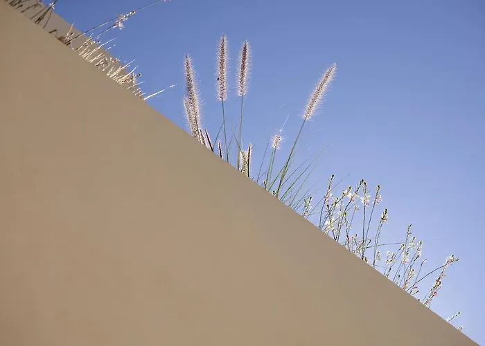 White Pebble Pollonia