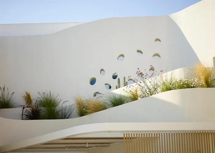 White Pebble 阿波罗尼亚